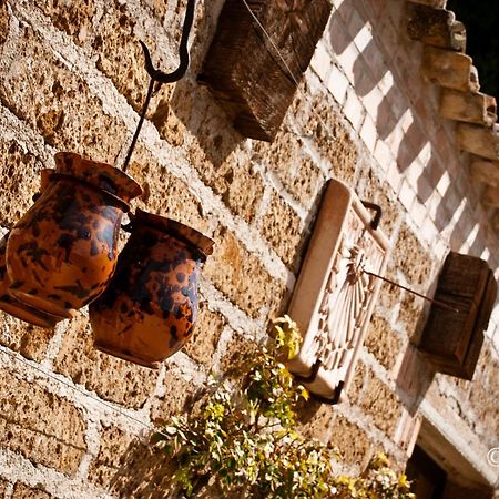 Country House La Cipolla D'Oro Potenza Picena Bagian luar foto